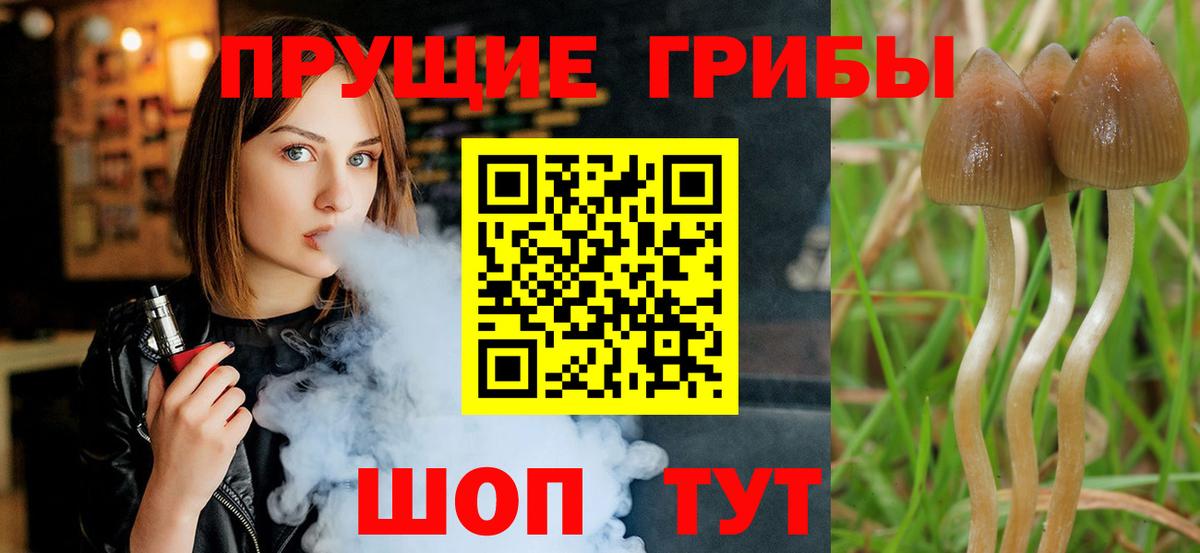 Псилоцибиновые грибы Magic Shrooms Коркино