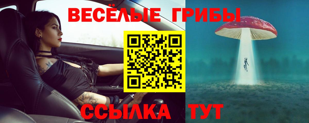 Галлюциногенные грибы мицелий  Вход с VPN  закладки  Коркино  Галлюциногенные грибы Psilocybe 